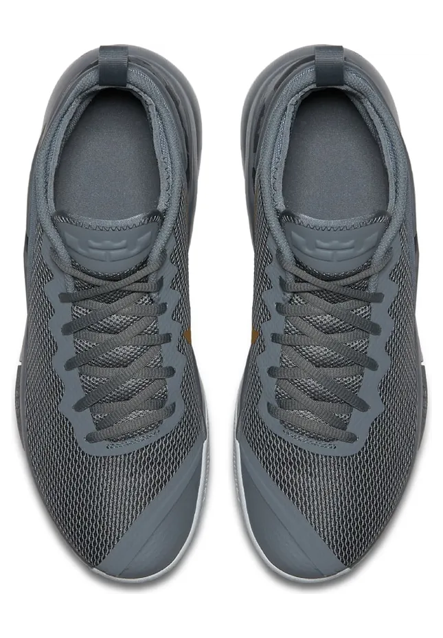 lebron-witness-2 942518-009