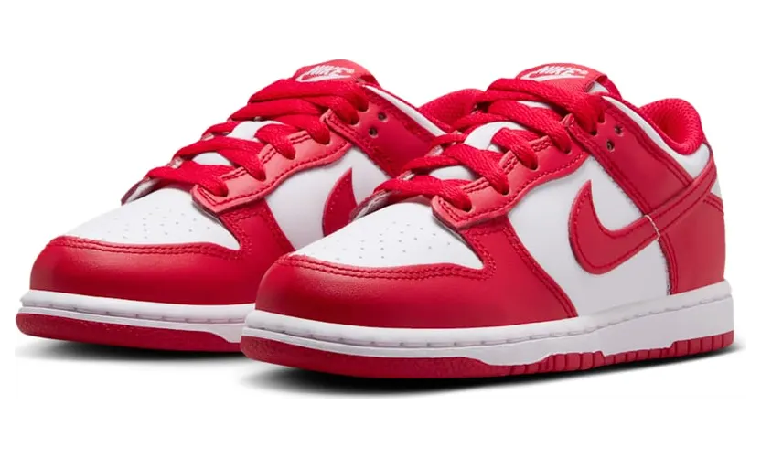 nike-dunk FB9108-119