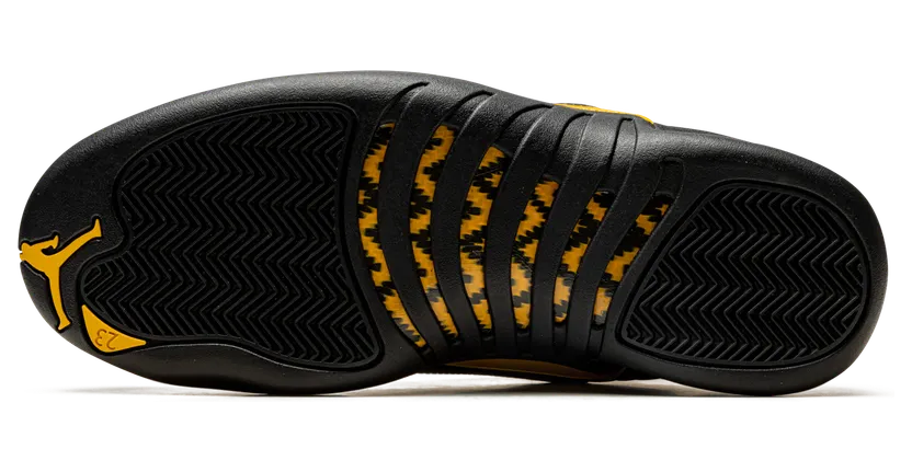 air-jordan-12 CT8013-071