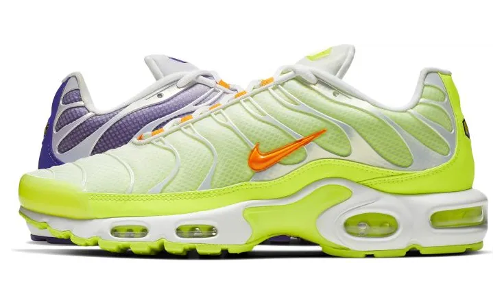 Nike Air Max Plus Color Flip (CI5924-531)