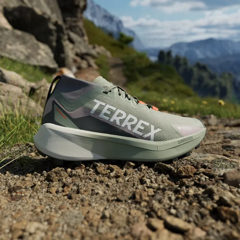 Adidas Terrex Agravic GTX Trail Running Silver Green / Cloud White / Preloved Fig (JP7253)