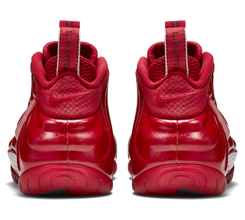nike-air-foamposite 624041-603