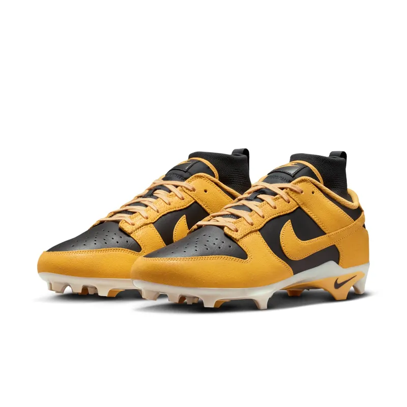 Nike Alpha Menace Dunk “Iowa” (HV6925-001)