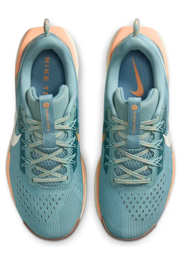 nike-air-pegasus DV3865-010
