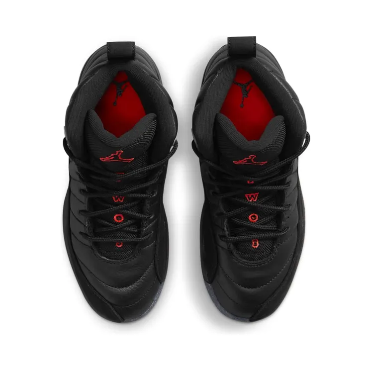 air-jordan-12 DM5205-006