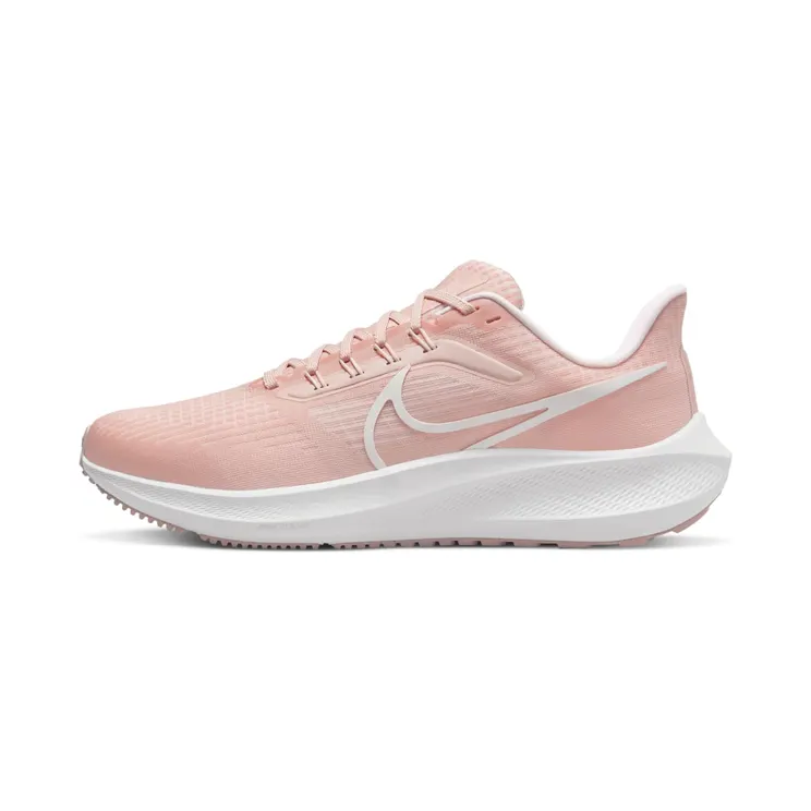 Nike Air Pegasus Roze “Pink Oxford / Light Soft Pink / Champagne / Summit White” (DH4072-601)