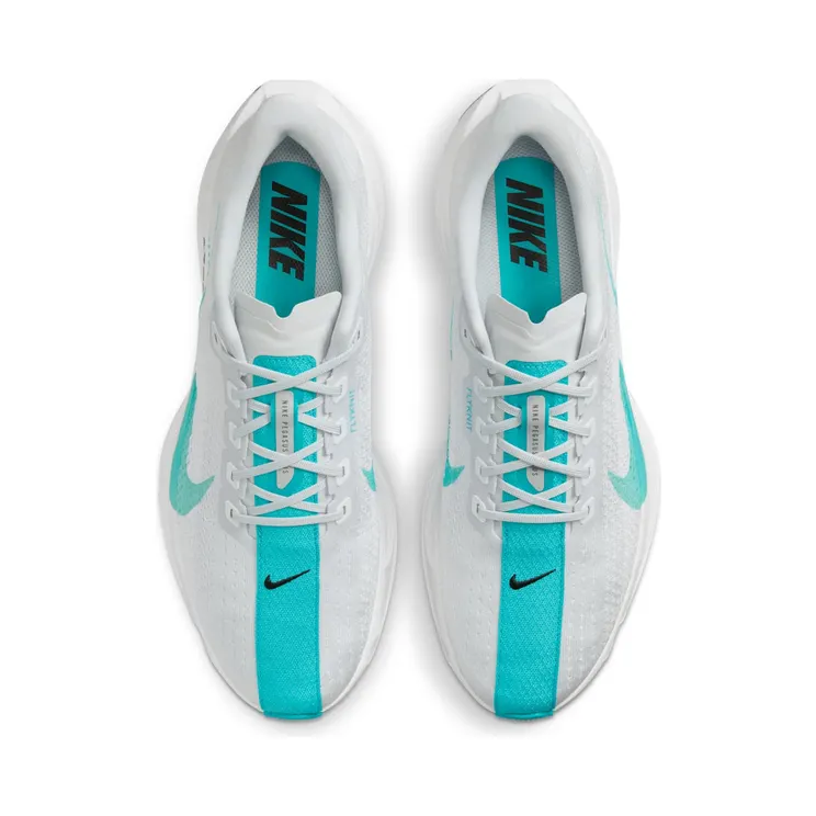 nike-air-pegasus FQ7262-004