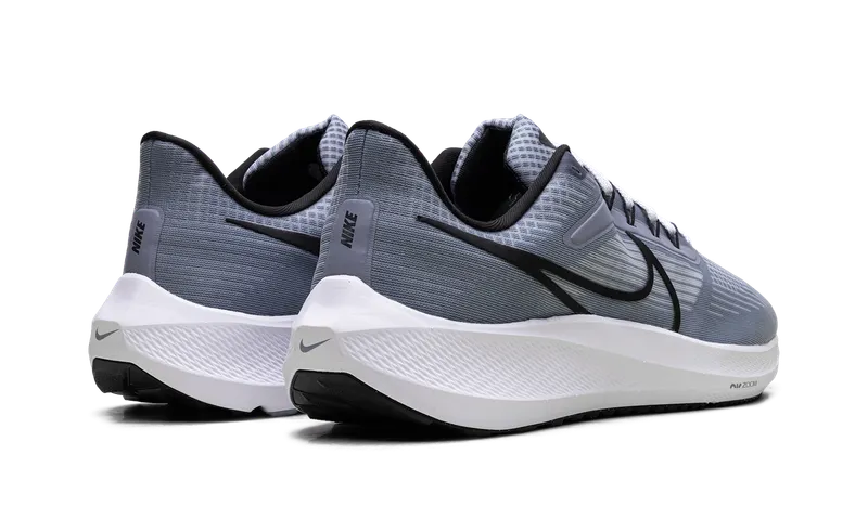 Nike Air Zoom Pegasus 39 “Ashen Slate / Black” (DH4071-401)