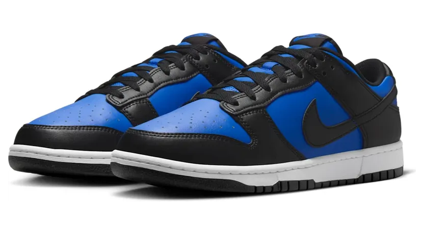 nike-dunk HF5441-401
