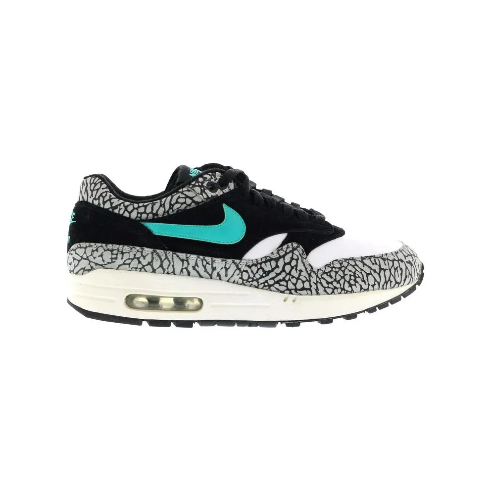 Nike Air Max 1 Atmos Elephant (2007)