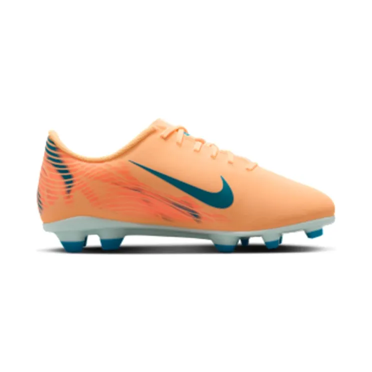 nike-zoom FQ8288-801