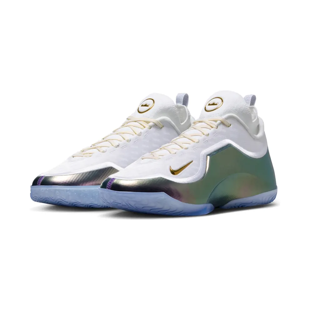Nike LeBron 23 Elite “For The Record” (IB9557-100)