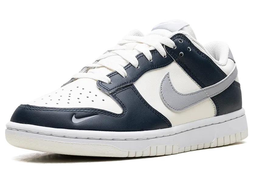 nike-dunk HV2390-100