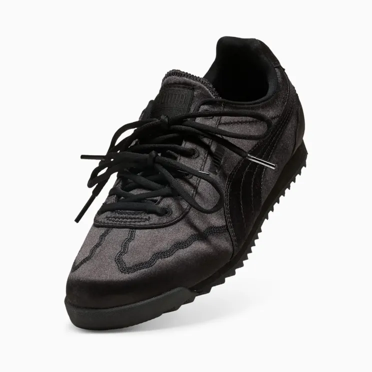 puma-arizona 40625002