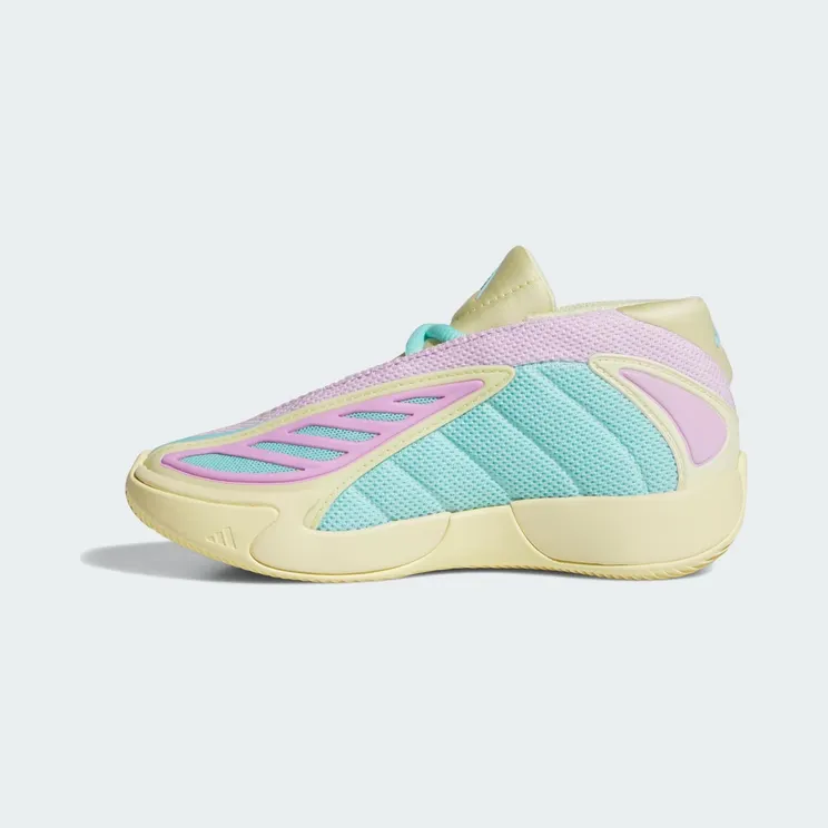 adidas-ae-2 JR2255