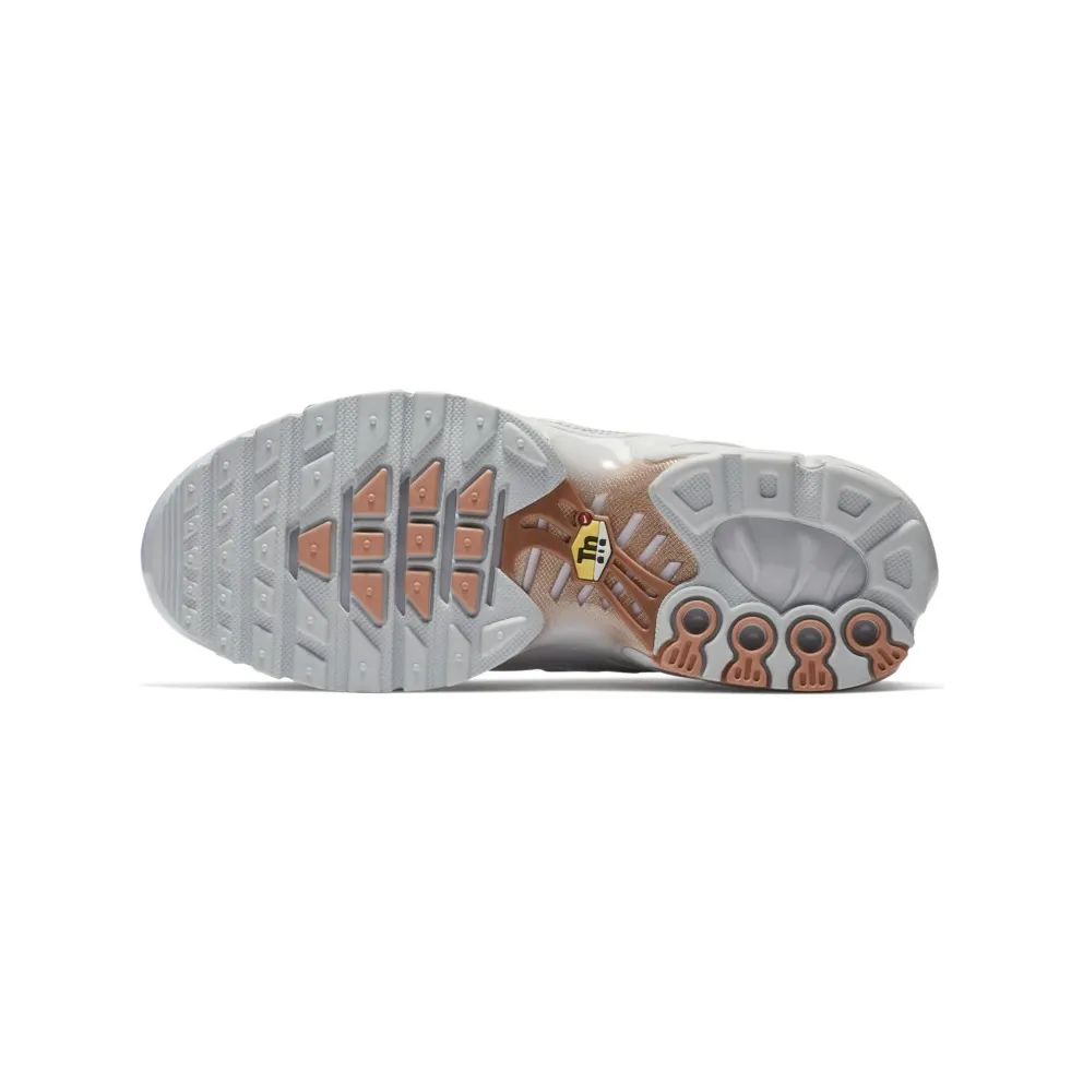 Nike Air Max Plus Pure Platinum Metallic Gold (GS) (718071-001)