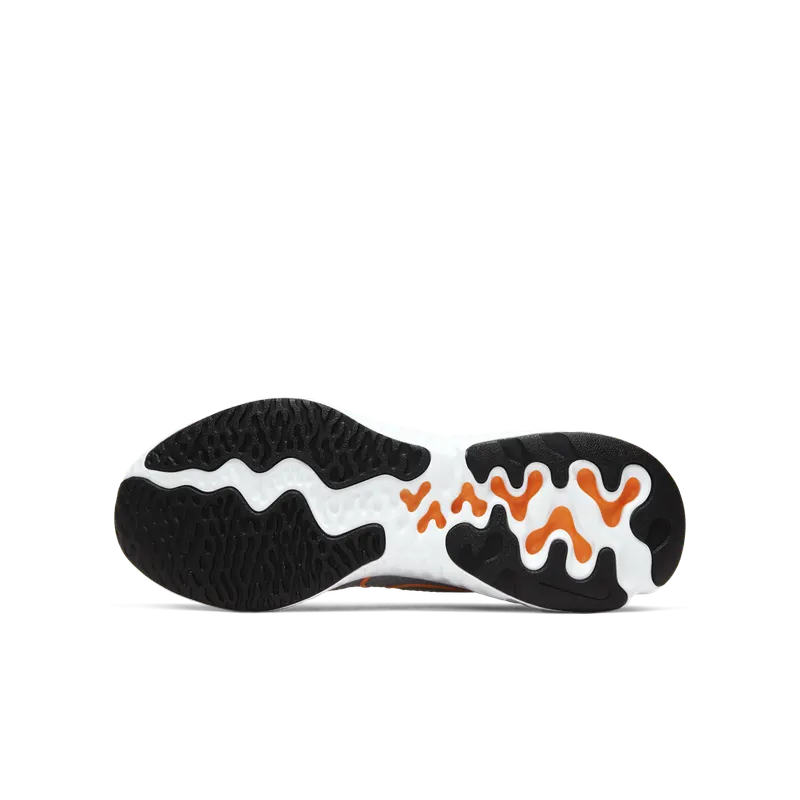 Nike Renew Run Light Smoke Grey (GS) Light Smoke Grey/Black/White (CT1430-070)