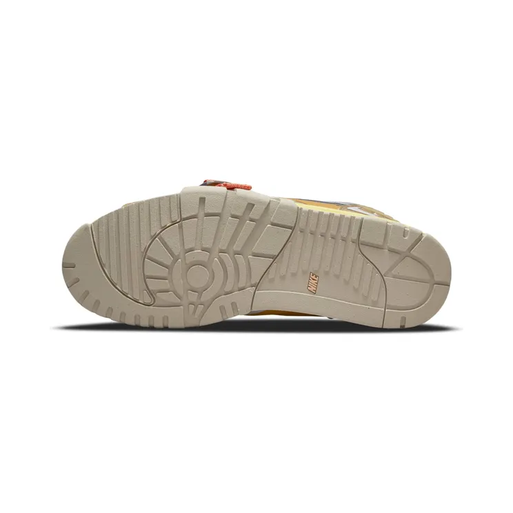 air-jordan-trainer-1 DH7338-300