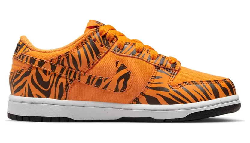 nike-dunk DZ5633-800