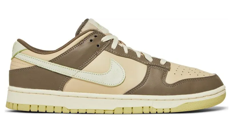 nike-dunk FB4960-210