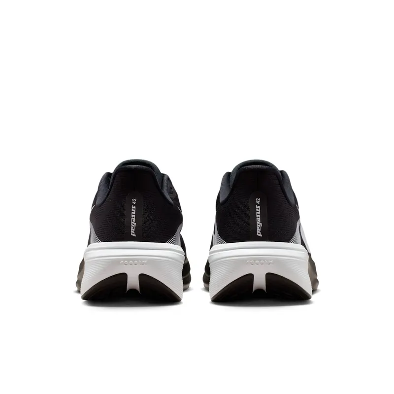 Nike Pegasus Black/Photon Dust/White (IB1873-001)