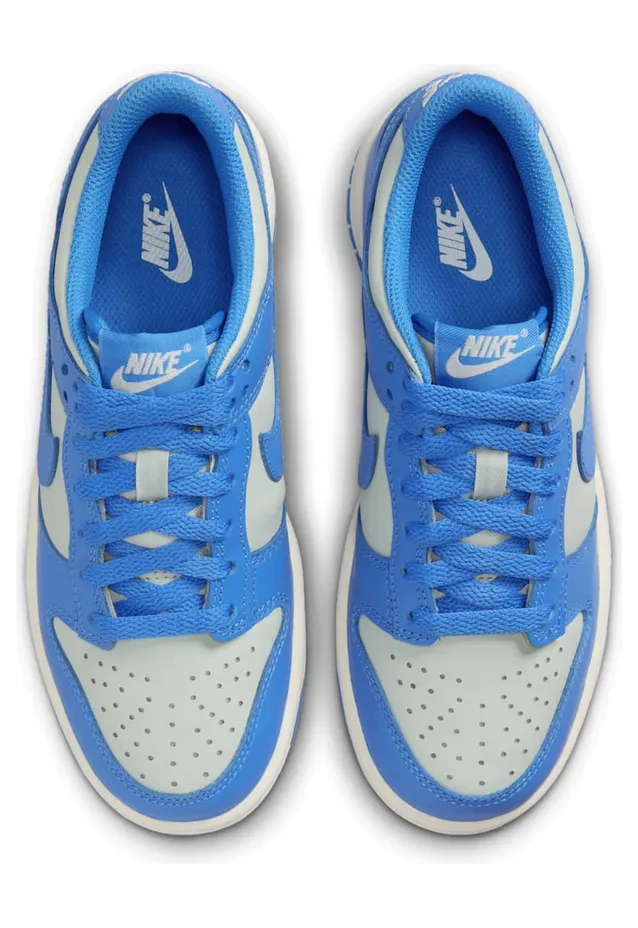 nike-dunk FB9109-004