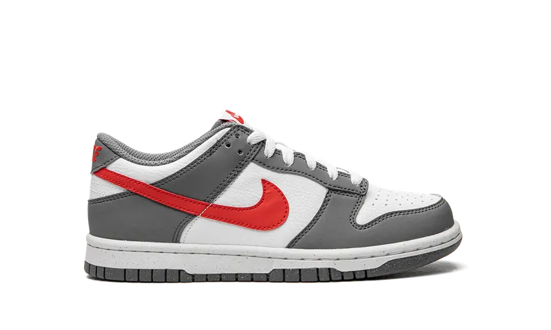 Nike Dunk Low Next Nature GS “Smoke Grey” (FB8038-001)