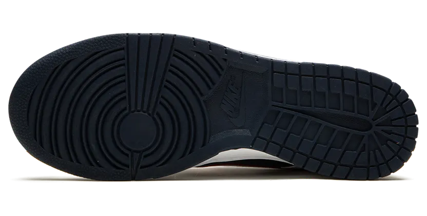 nike-dunk DZ2780-100