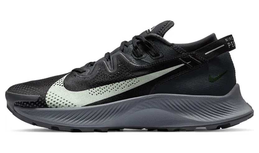 nike-air-pegasus CK4305-002
