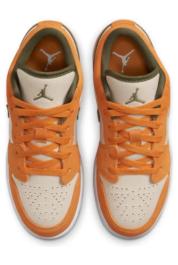 air-jordan-1 DJ0342-102