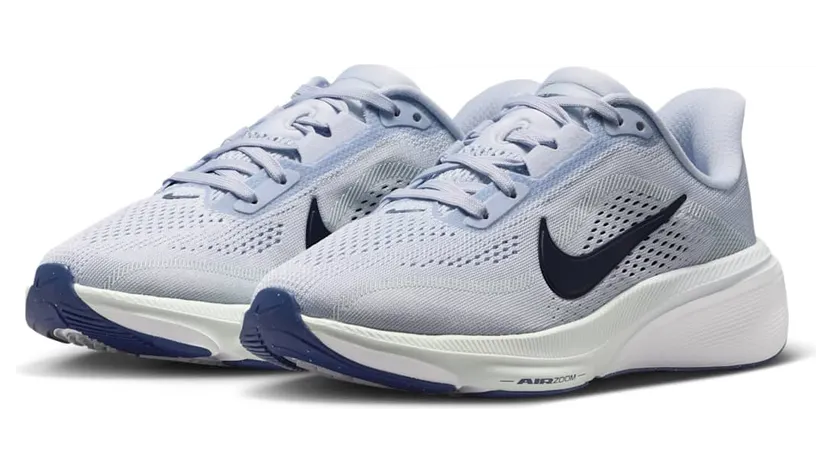 nike-air-pegasus IH2306-004