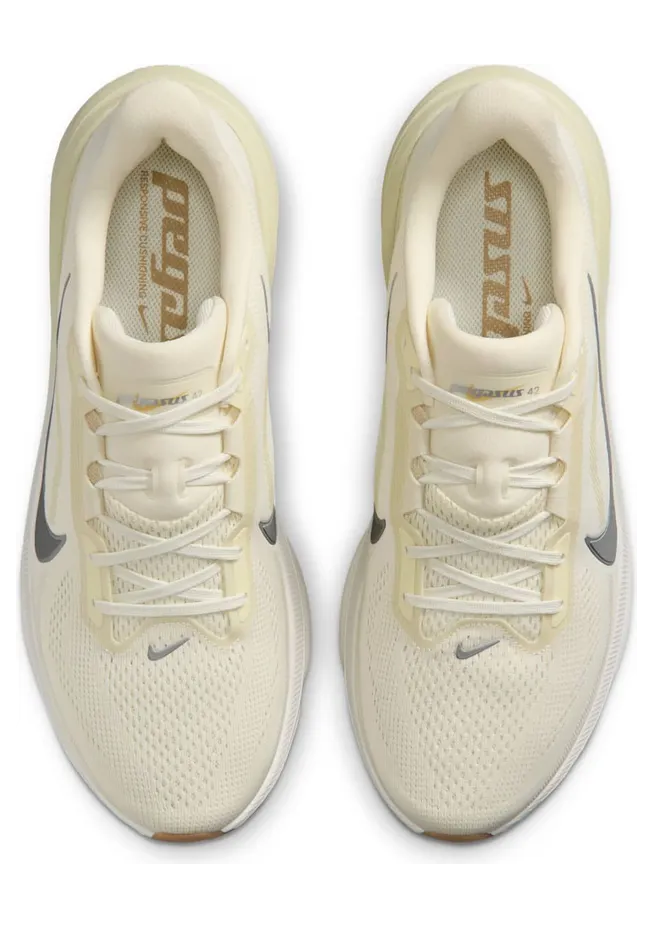 nike-air-pegasus IM8332-100