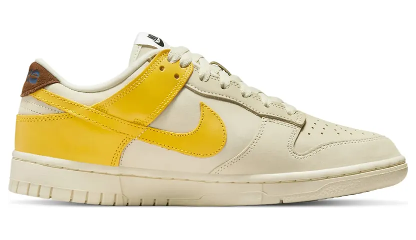 nike-dunk DR5487-100