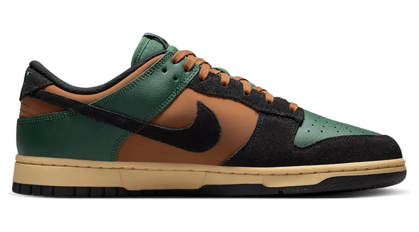 nike-dunk IM4414-300