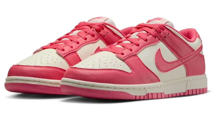 nike-dunk DD1873-600