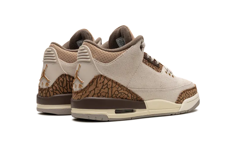 Air Jordan 3 GS “Palomino” (DM0967-102)