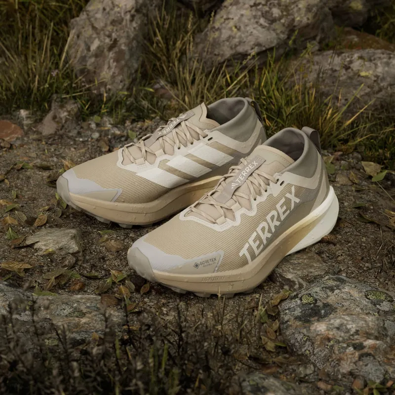 adidas Terrex Agravic Gore-Tex Trail Blanch Cargo Alumina Putty Beige (JR1507)