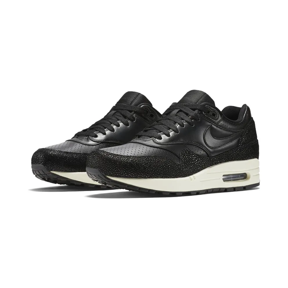 Nike Air Max 1 Stingray Pack Black/Black-Black-Sea Glass (705007-001)