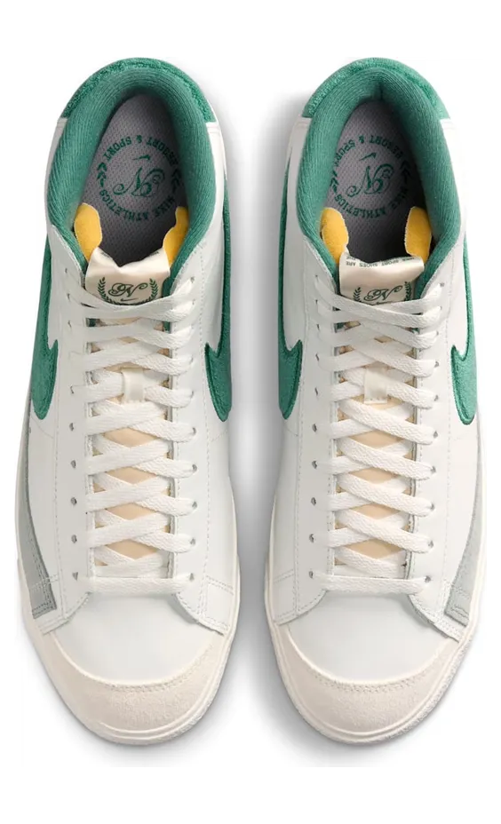 nike-blazer FN5822-100