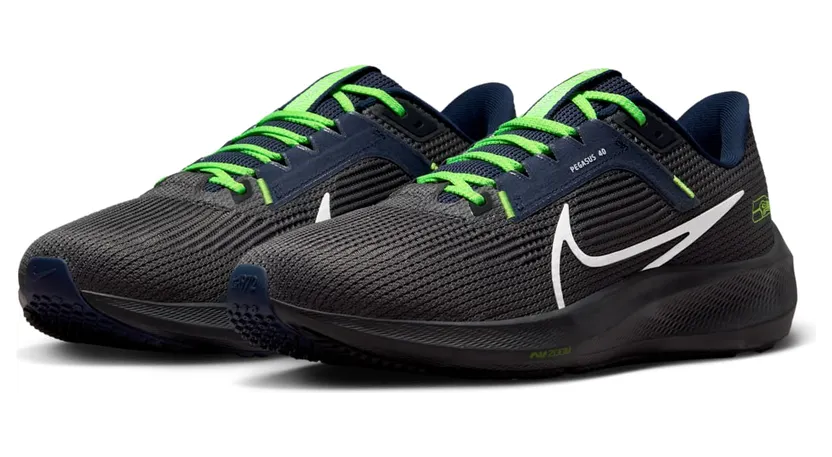 nike-air-pegasus DZ6007-001