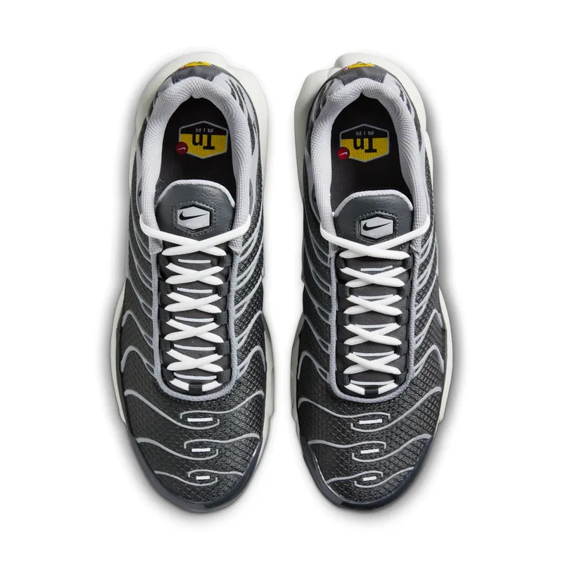Nike Air Max Plus Greyscale Cool Grey (DZ2655-001)