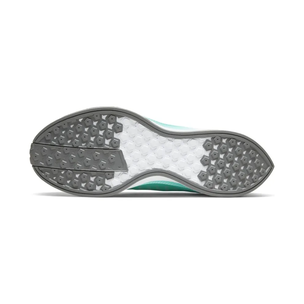 Nike Zoom Pegasus Turbo 2 Aurora (W) Aurora/Sky Grey/Particle Grey (AT8242-302)