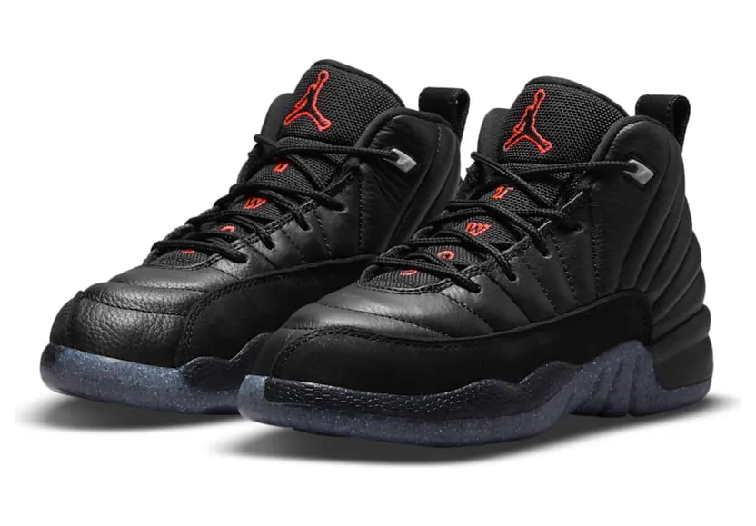 air-jordan-12 DM5205-006