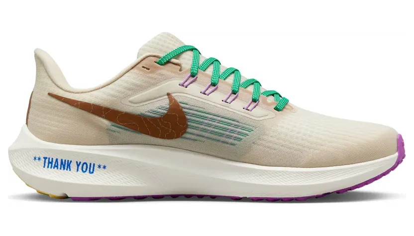 nike-air-pegasus DV8922-100