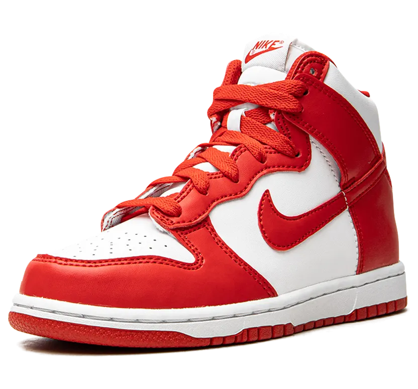 nike-dunk DD2314-106