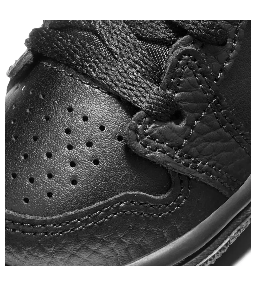 air-jordan-1 640735-091