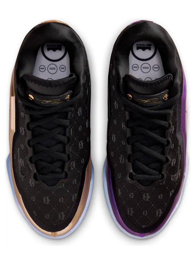 nike-lebron IQ6709-001