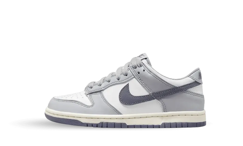 Nike Dunk Low SE Light Carbon Grey (GS) (FB9109-101)