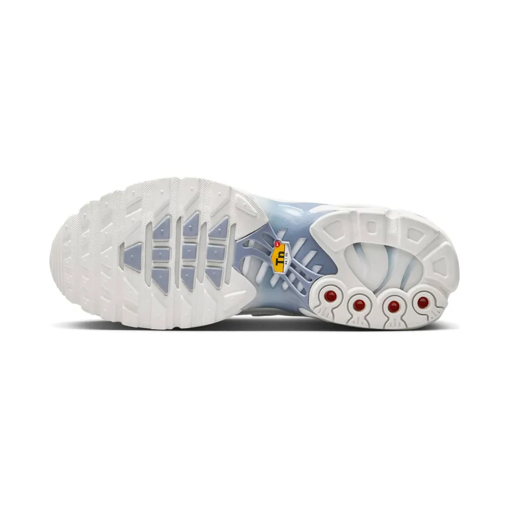 Nike Air Max Plus Ashen Slate (DZ3671-104)