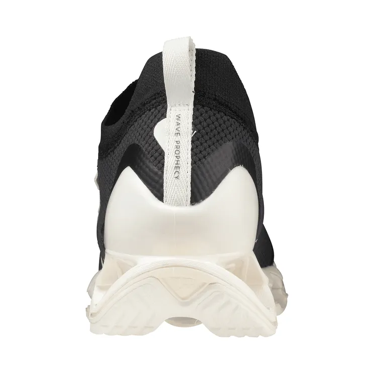 mizuno-wave-prophecy D1GA220202